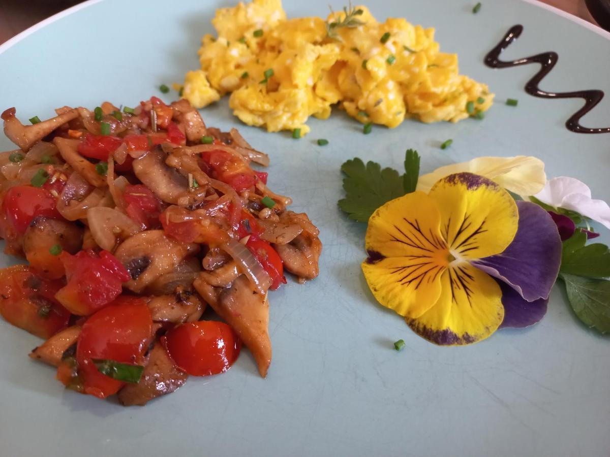 Kleinzee Oceanfront Guesthouse Gansbaai Eksteriør bilde