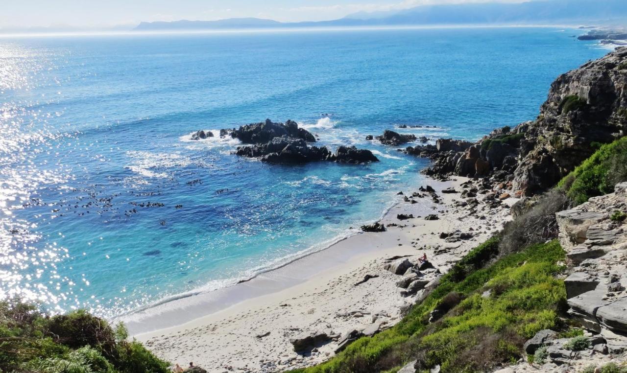 Kleinzee Oceanfront Guesthouse Gansbaai Eksteriør bilde