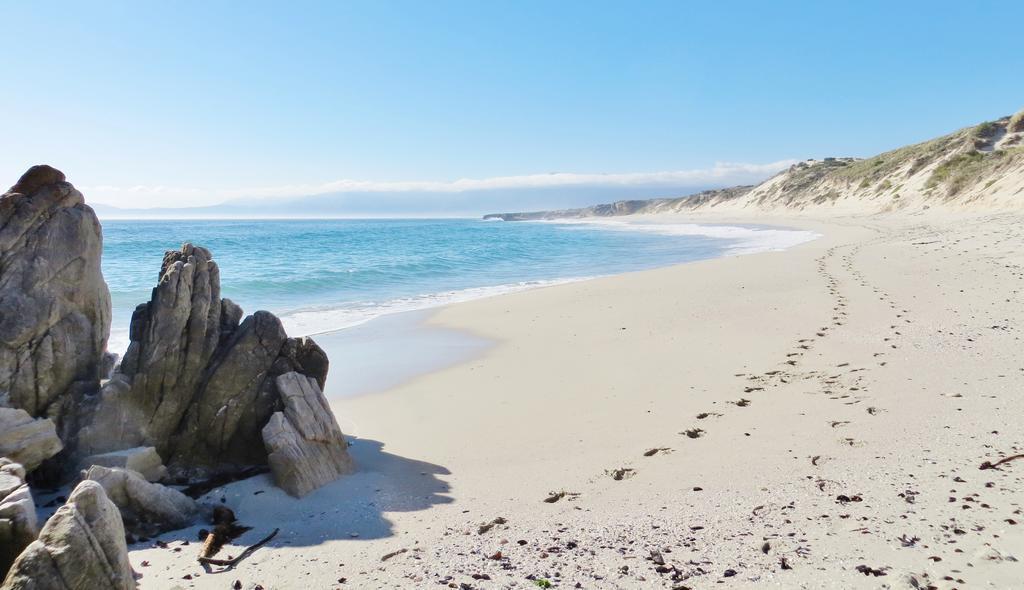 Kleinzee Oceanfront Guesthouse Gansbaai Eksteriør bilde