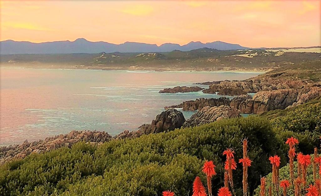 Kleinzee Oceanfront Guesthouse Gansbaai Eksteriør bilde