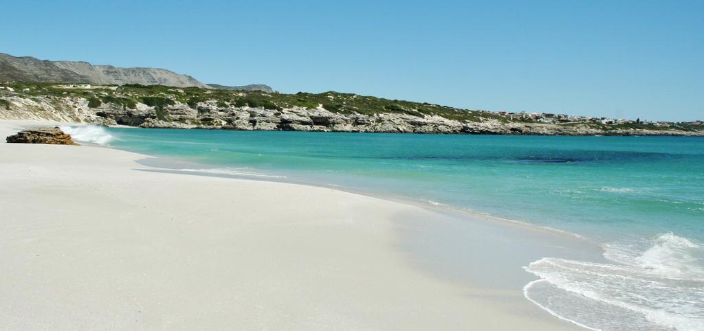 Kleinzee Oceanfront Guesthouse Gansbaai Eksteriør bilde