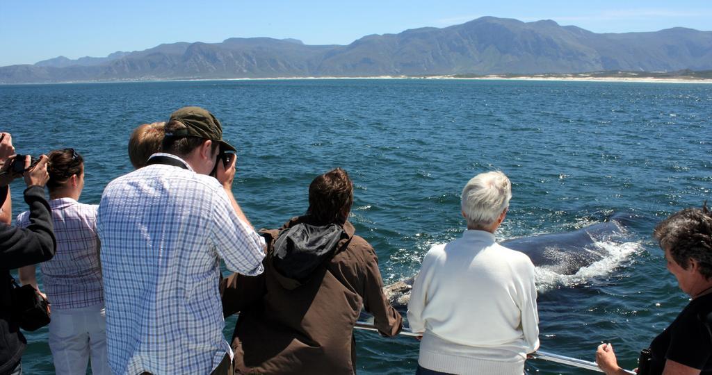 Kleinzee Oceanfront Guesthouse Gansbaai Eksteriør bilde